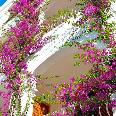 酒店 罗马纳别墅spa酒店 4*