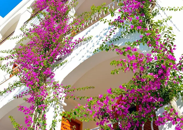 Hotel Romana Hotel&spa 4*